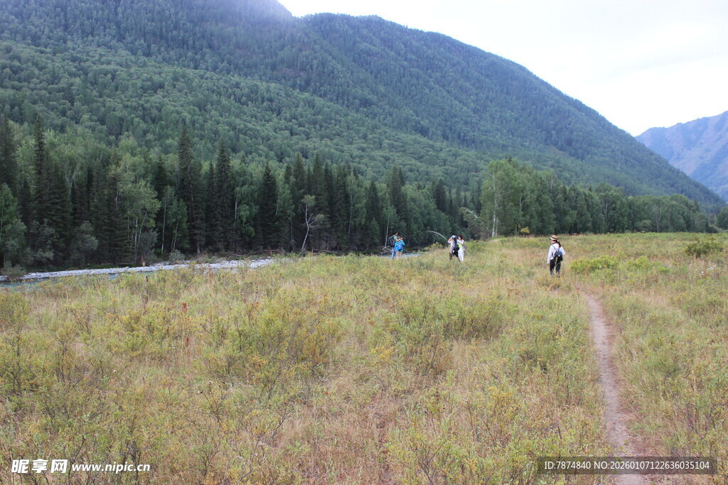 山间草地徒步者的惬意之旅