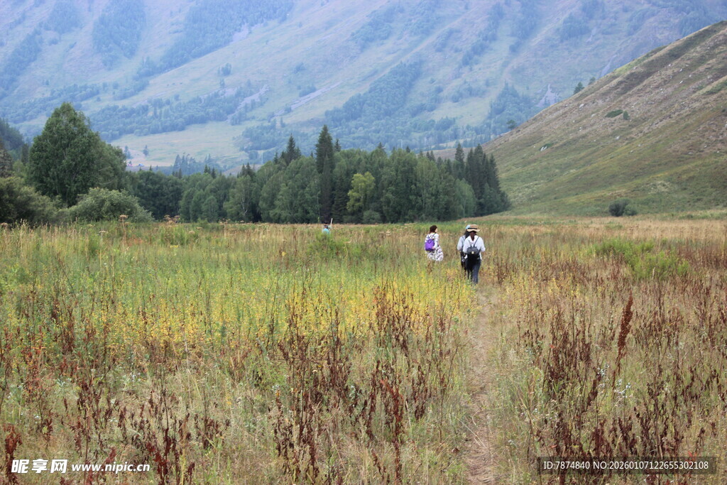 山间徒步者穿行于草地