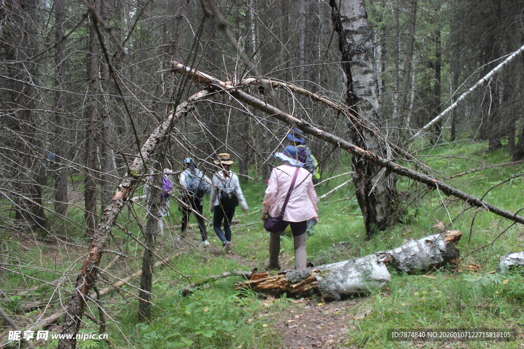 森林徒步者与倒下的树木