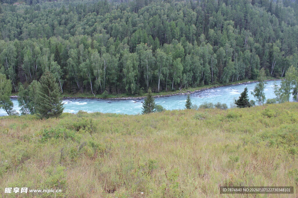 山间河流旁的葱郁景色