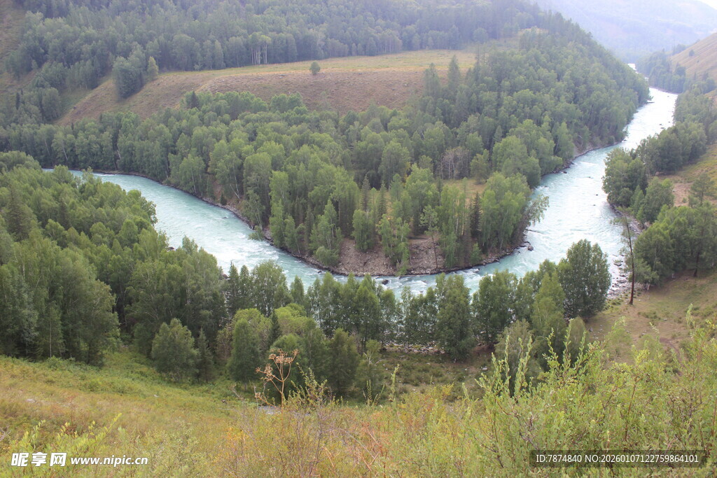 山间蜿蜒河流与葱郁林木