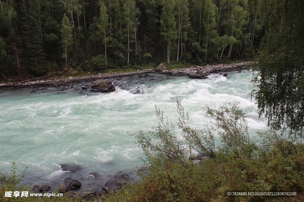 湍急河流旁的茂密森林