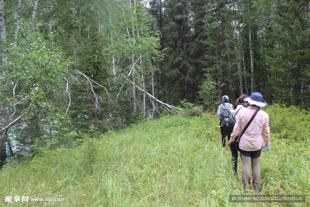 徒步者穿行于林间草地