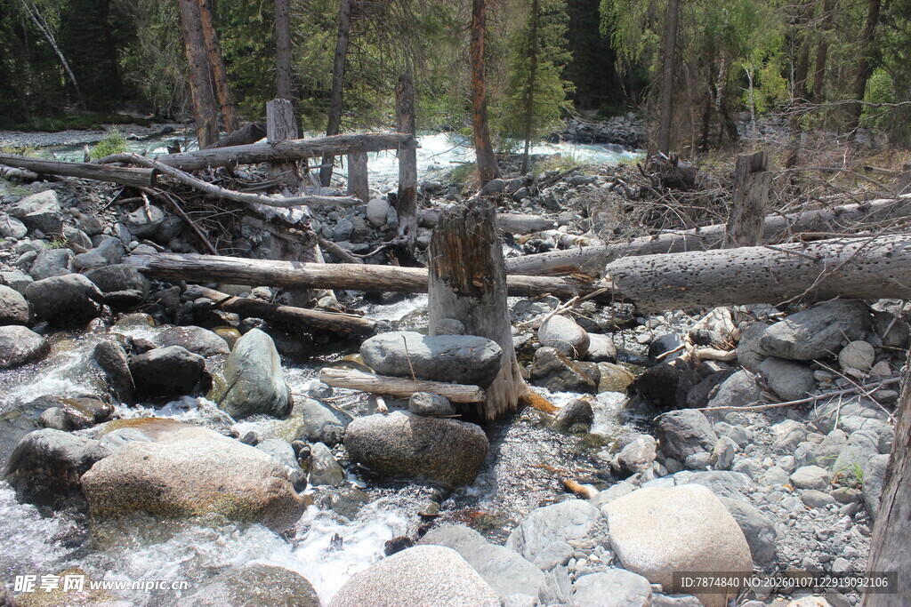 林间碎石溪流自然景象