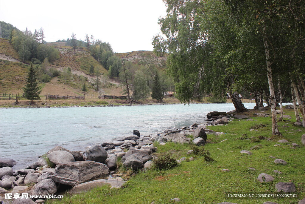 湖畔风景 岸边草木与石块