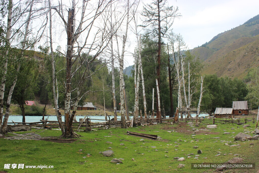 山间草地旁的树木与小屋