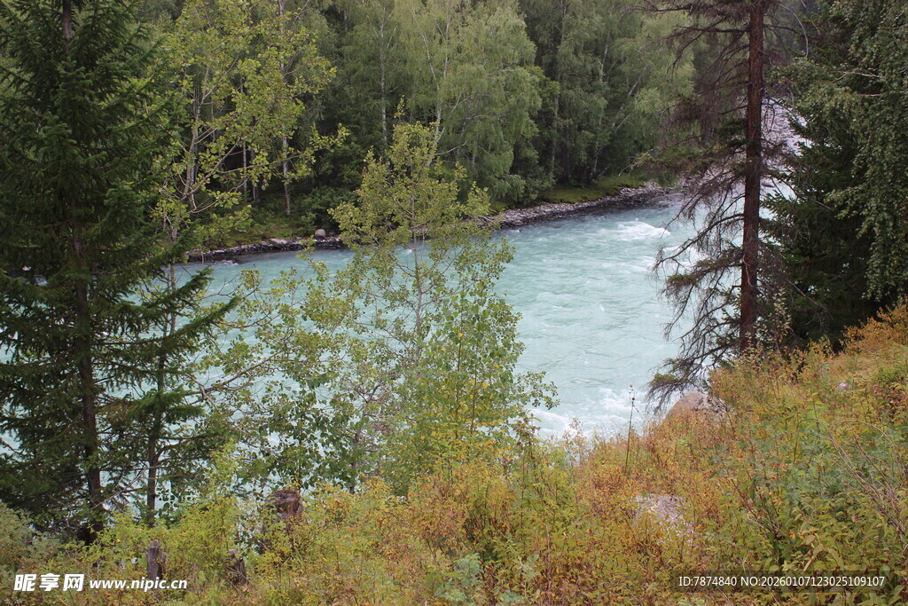 山林间的清澈河流