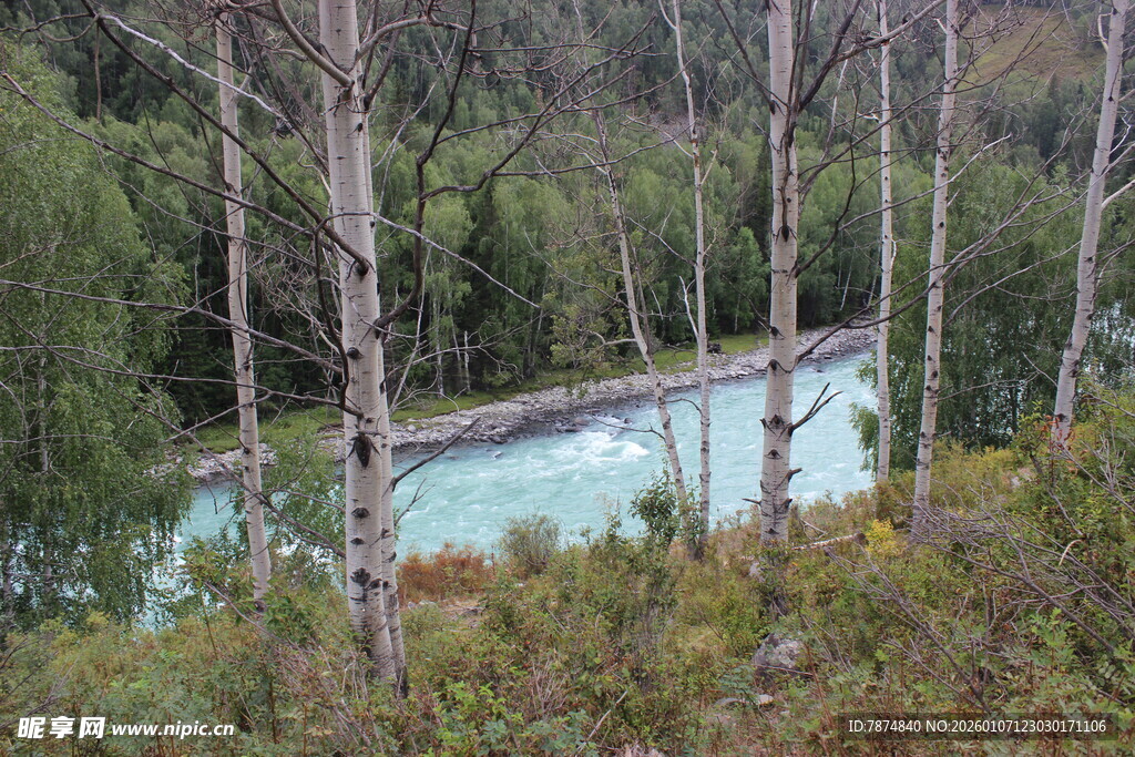 山林间的静谧河流
