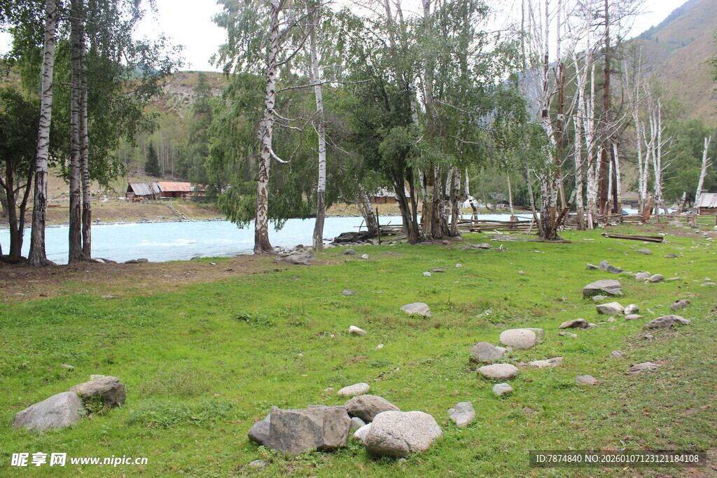 河畔草地树木自然风光