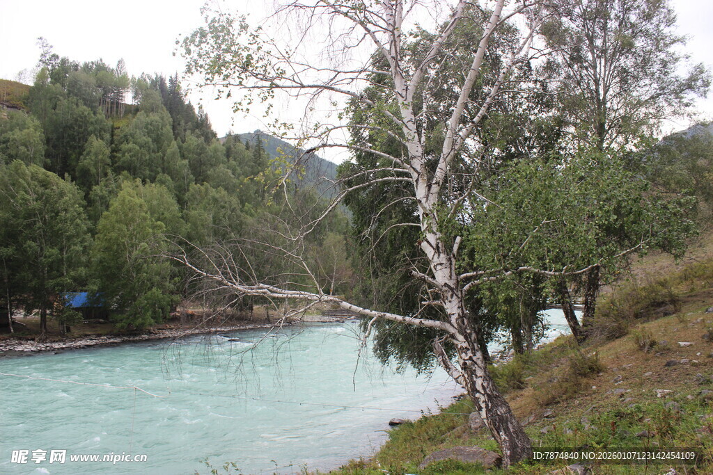 河畔绿树环绕的清澈河水