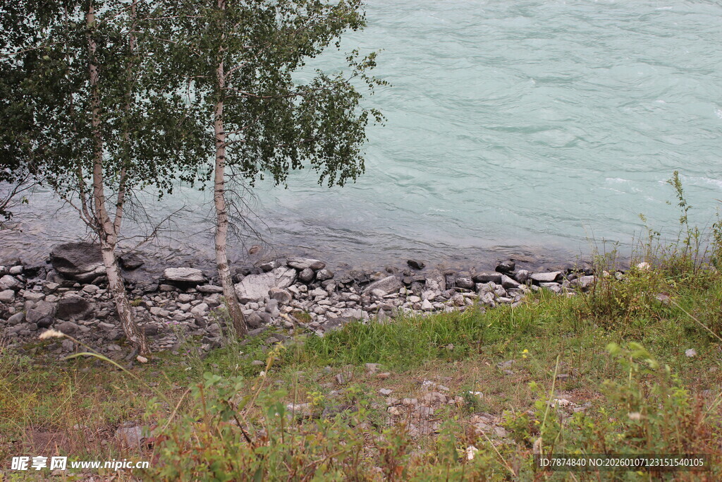 湖畔草木与岸边嶙峋石块