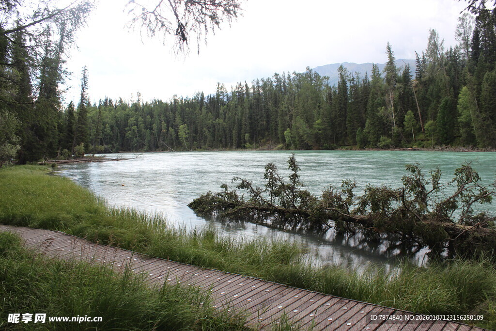 湖畔木栈道的自然美景