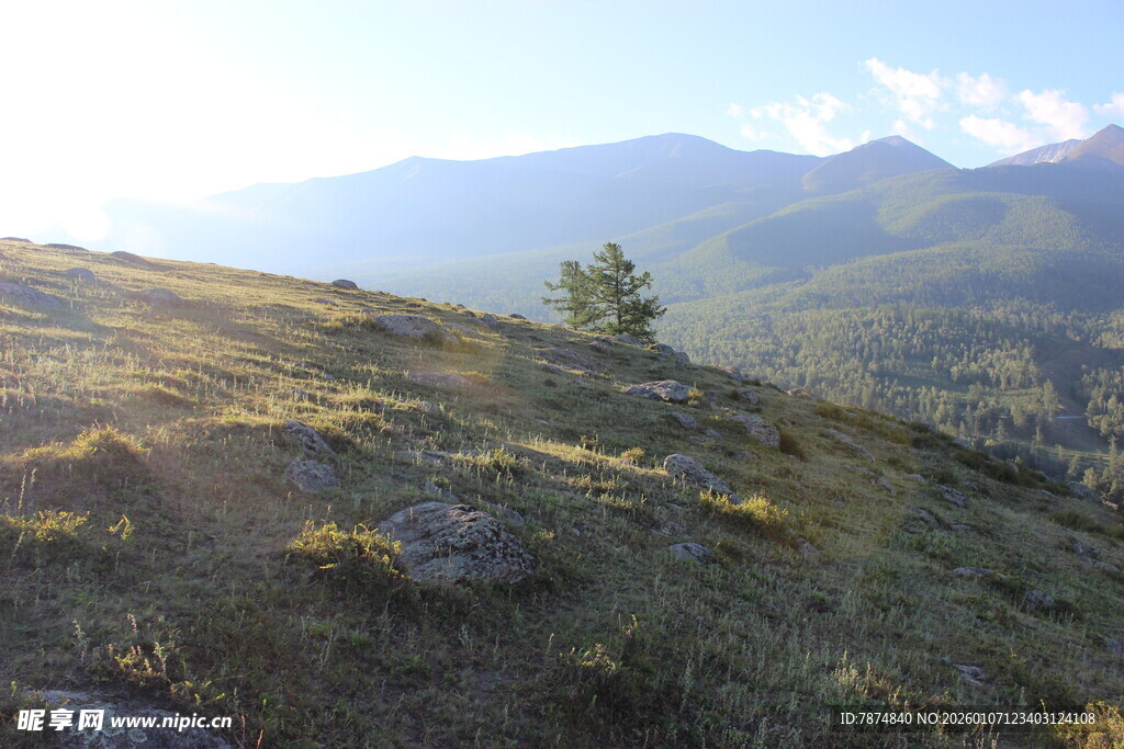 山间美景 草地与远山