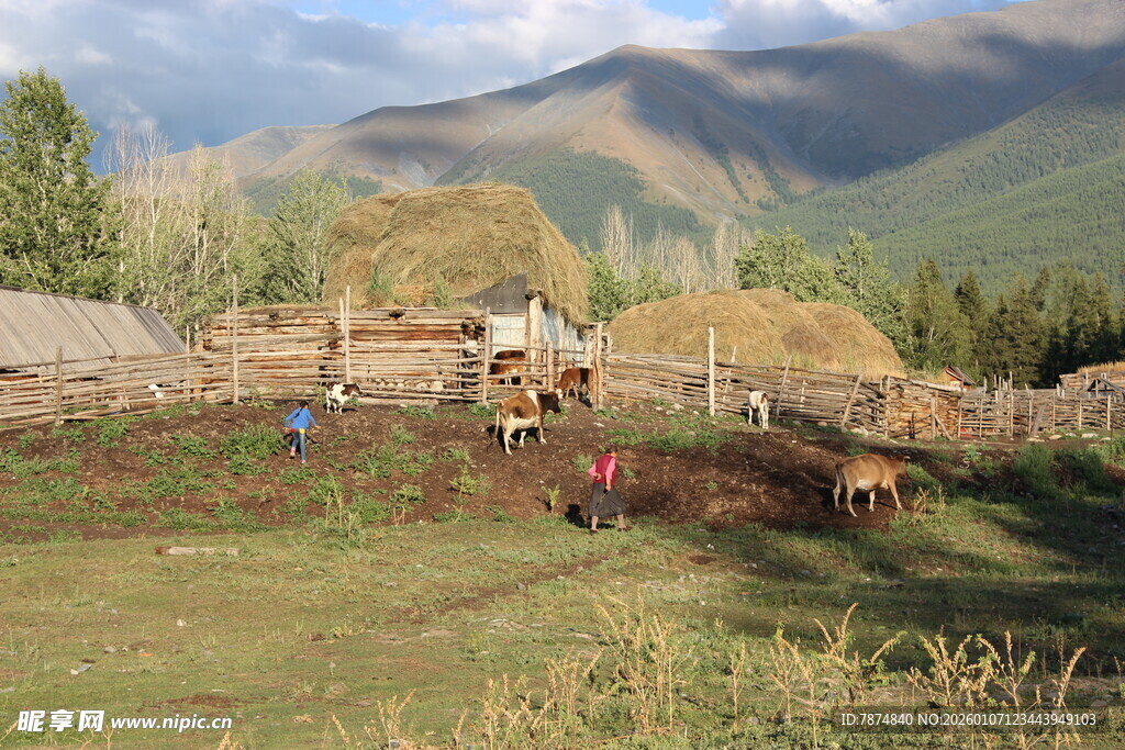 乡村田园牧场景象