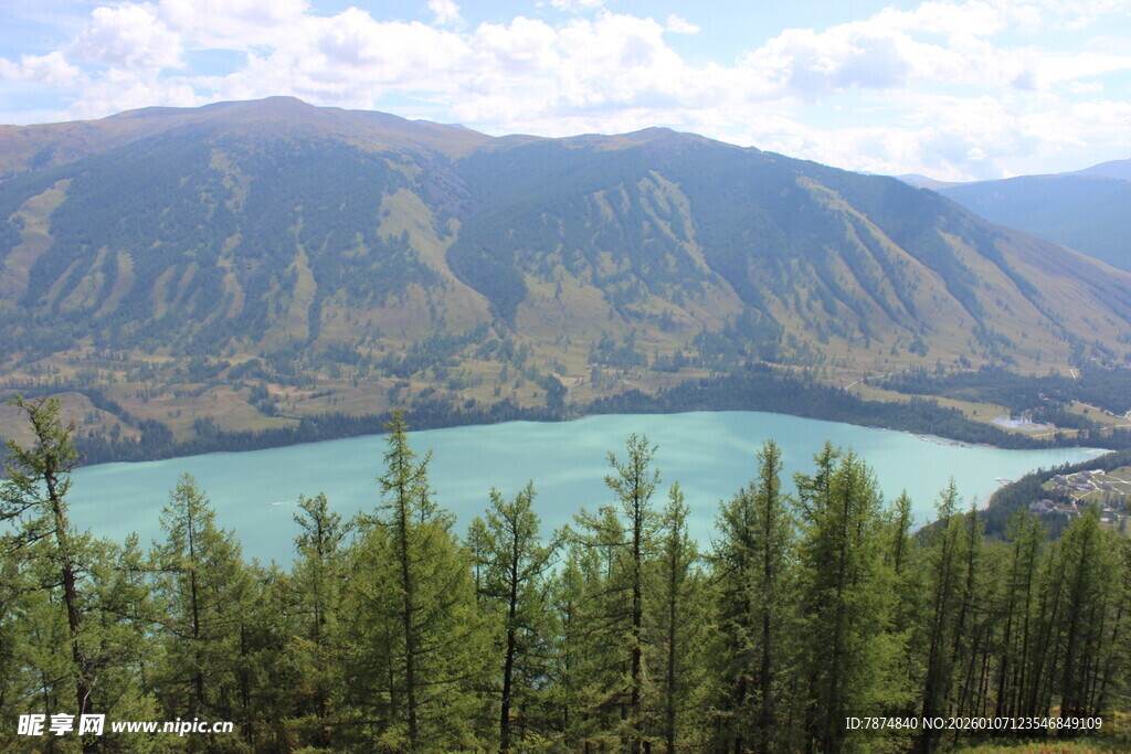 高山湖畔的翠绿森林景观
