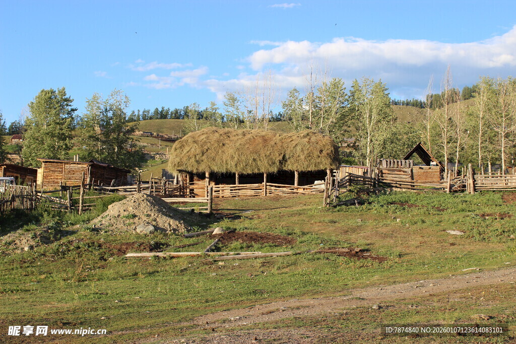 乡村原野中的木屋与树林