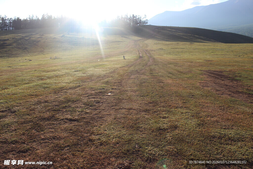 阳光照耀下的开阔原野
