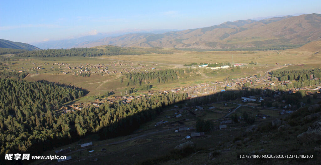 山间开阔林地风景