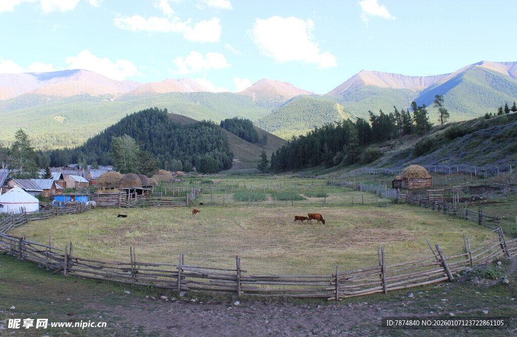 山间牧场风光