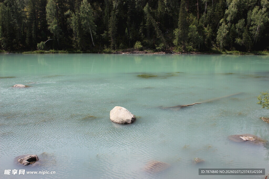 碧绿湖景中的孤石
