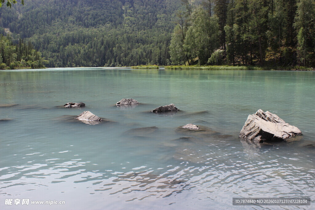 宁静湖景中的漂浮枯木