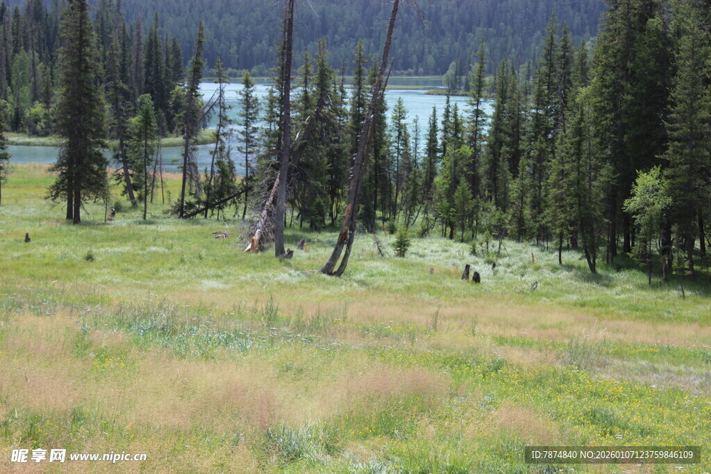 山林草地间的自然美景