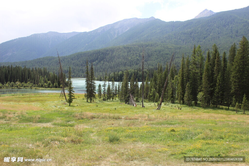 山间草地旁的静谧湖泊