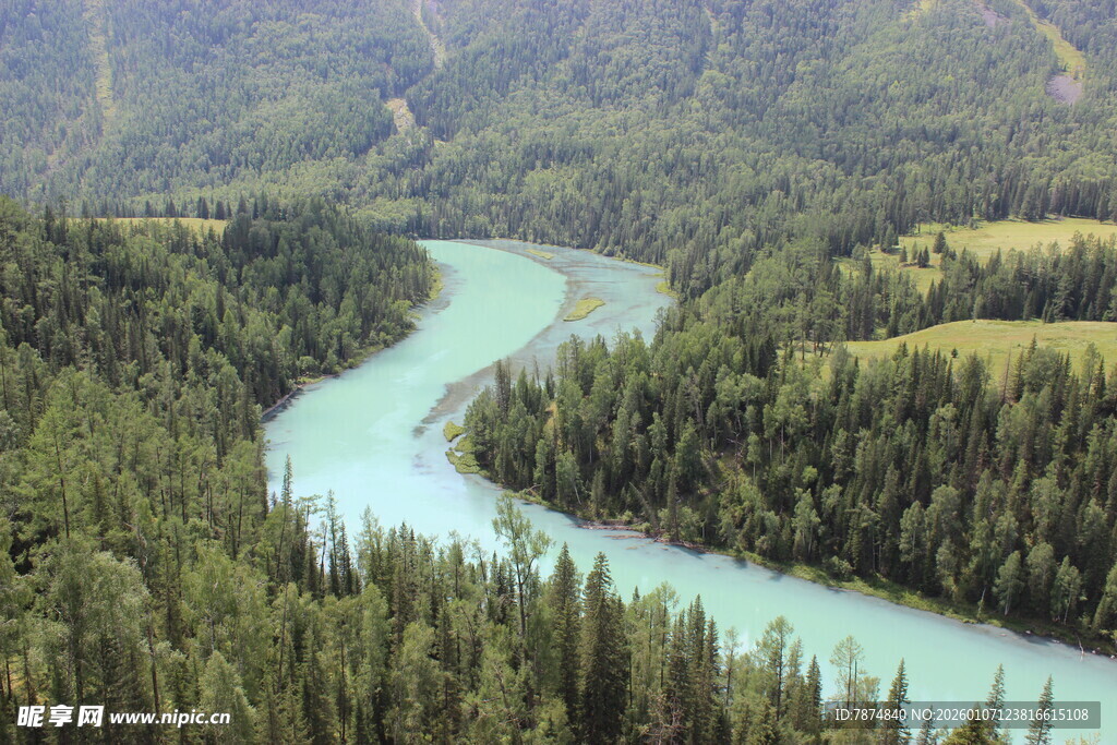蜿蜒河流穿行于茂密森林