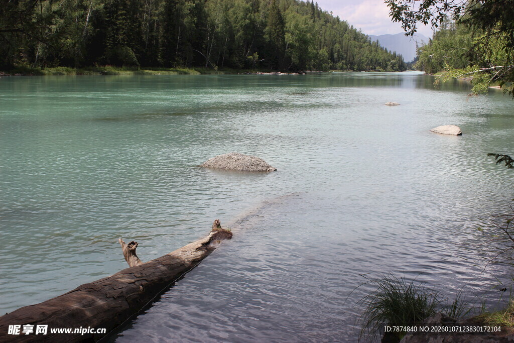 清澈河畔的静谧自然景象