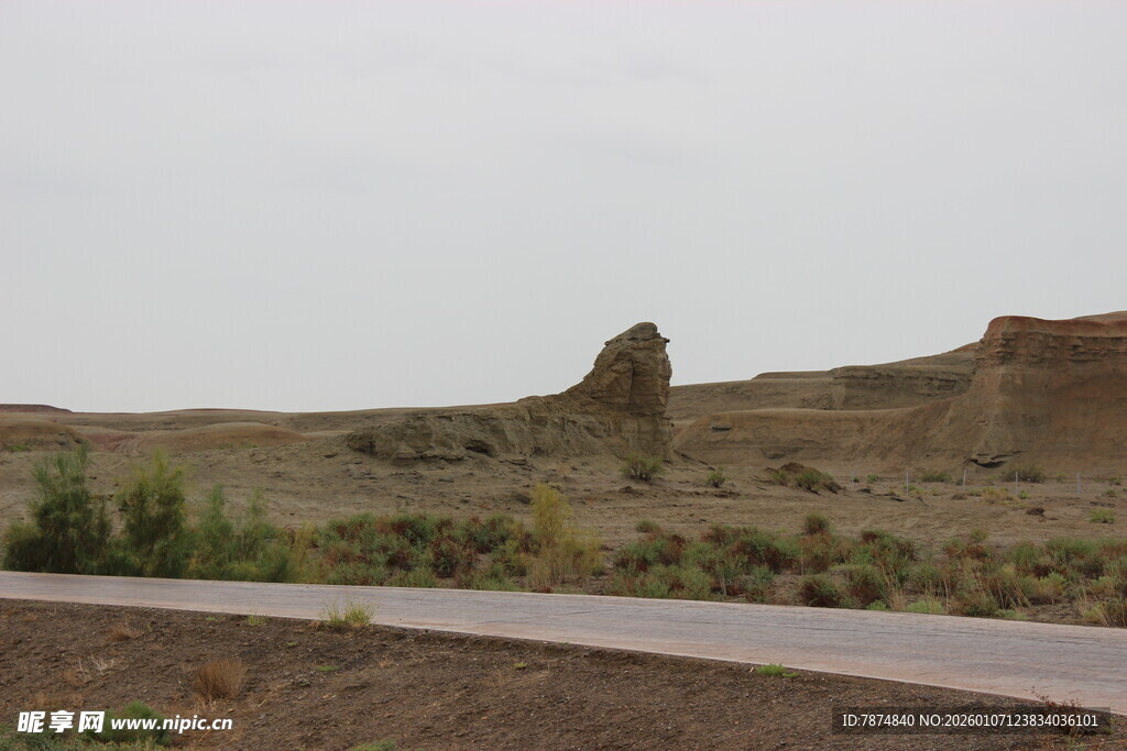 荒漠中的蜿蜒道路