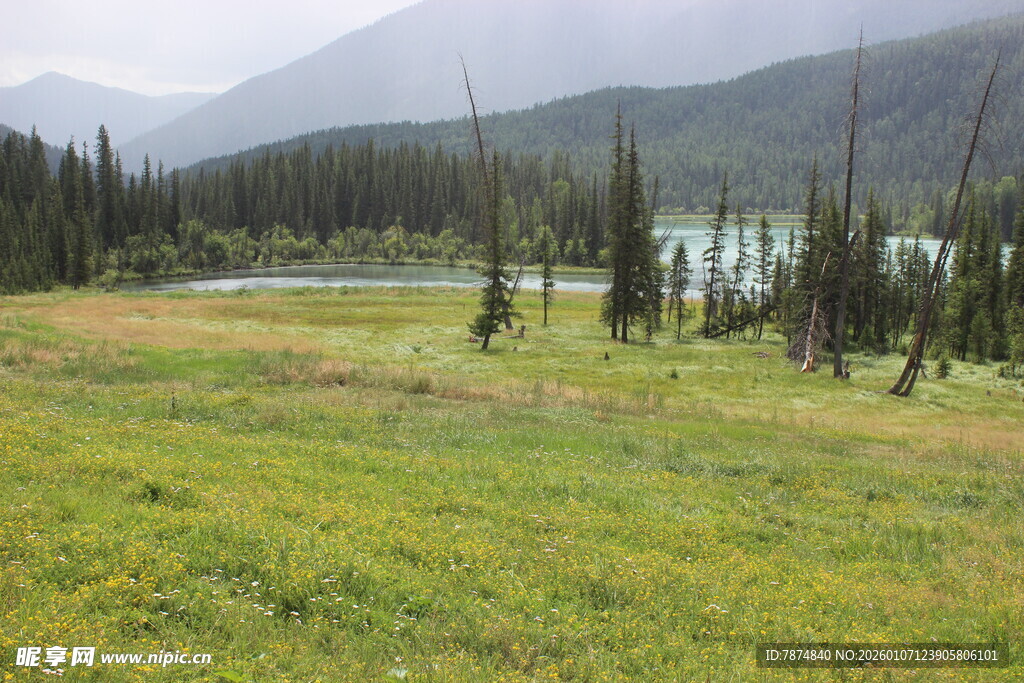 山间草地与远处河流风景