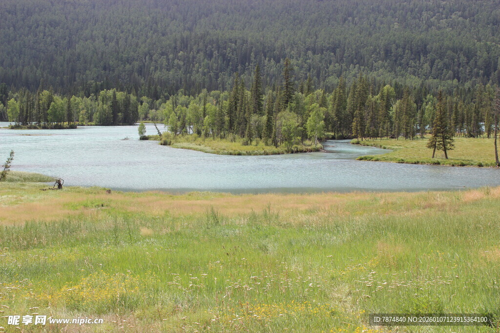 湖畔草原风光美景