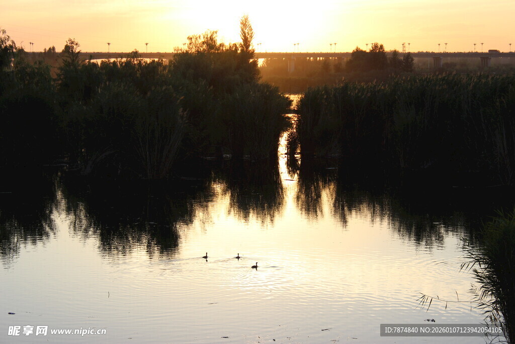 夕阳下的静谧河岸风光