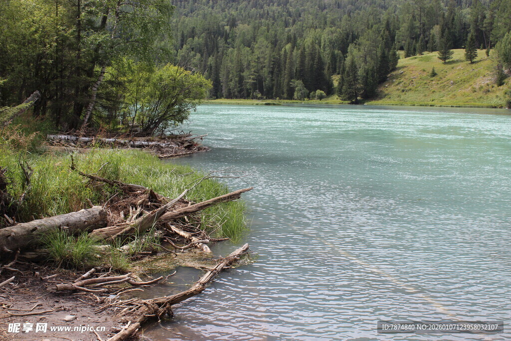 山间清澈河流岸边风景
