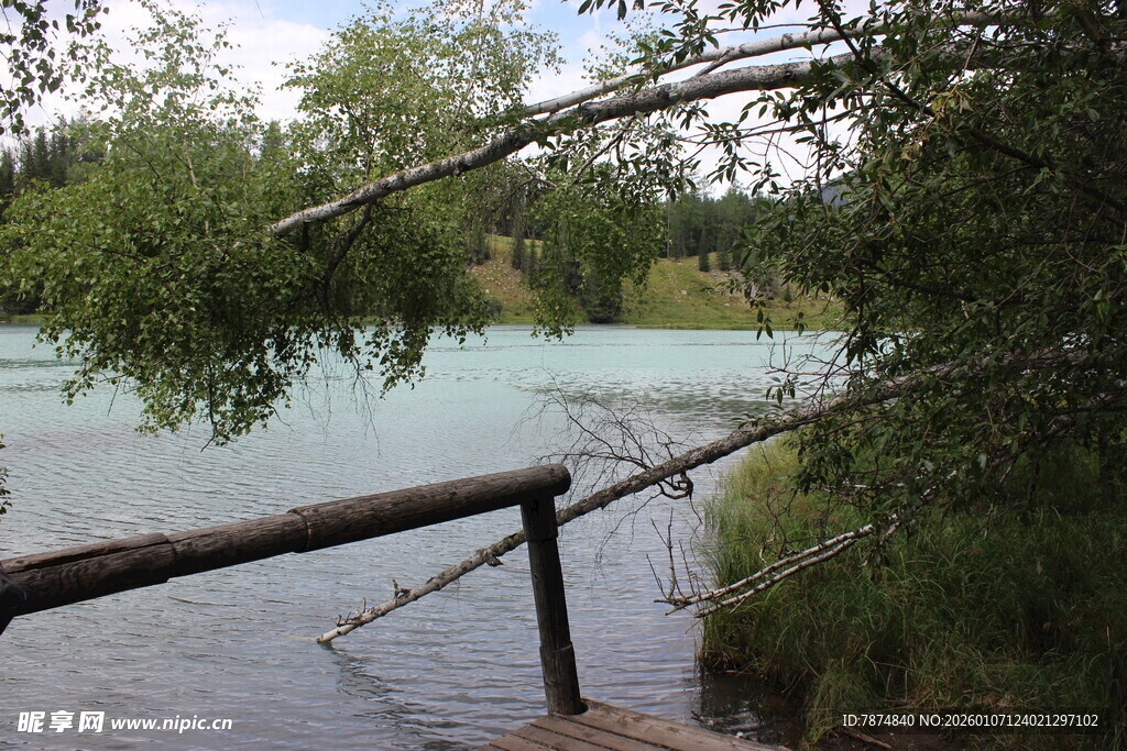 湖畔木栏旁的自然景致