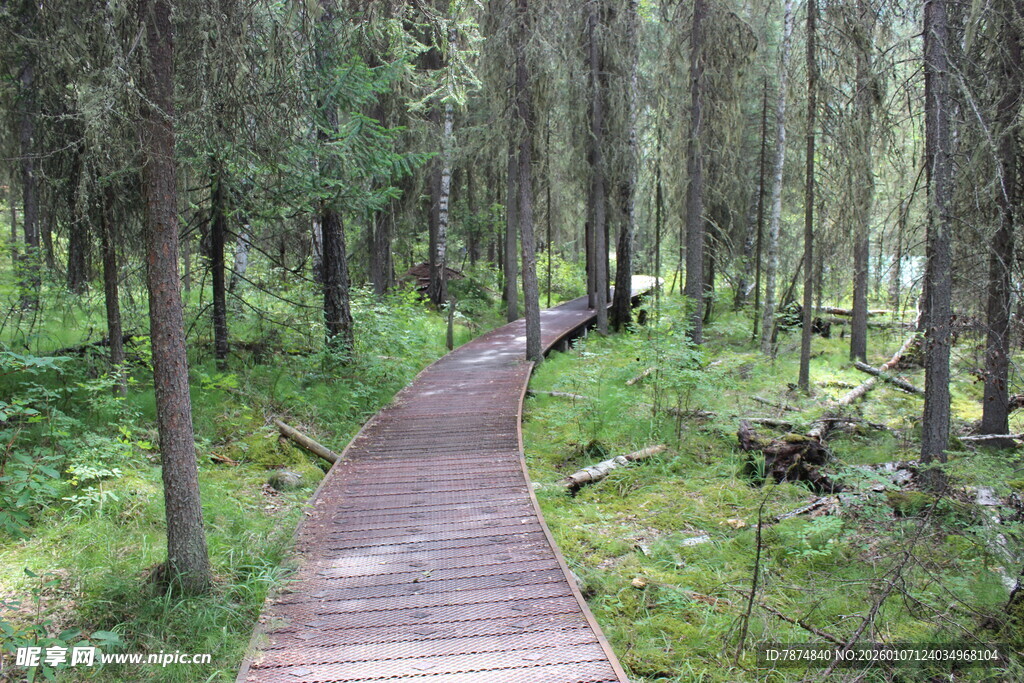 林间木栈道 自然清幽景