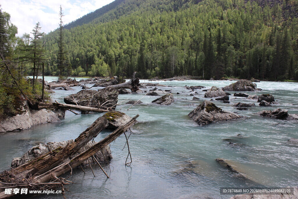 山间溪流与倒伏树木景观