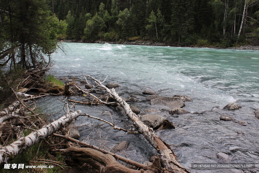溪边倒木与湍急流水景观