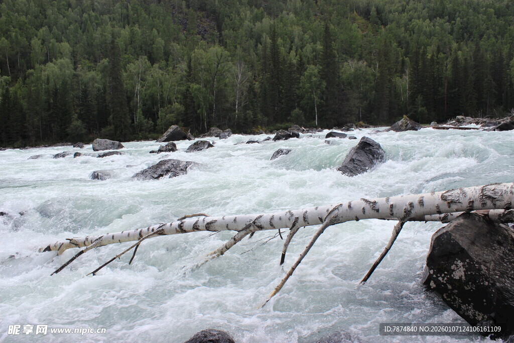 湍急河流中的枯木与岩石