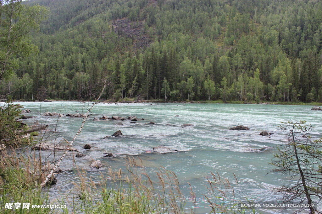 山间清澈河流与茂密树林