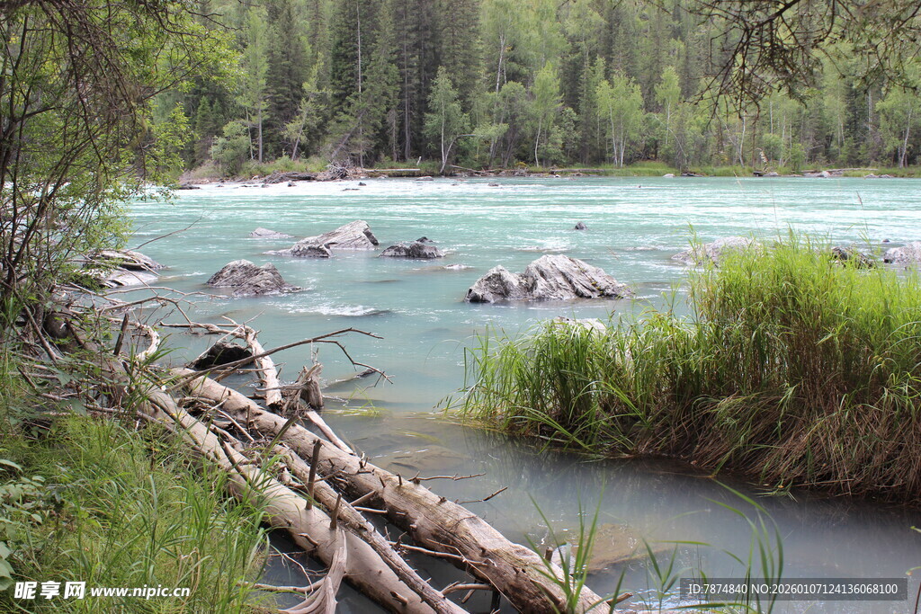 山间溪流畔的自然景致