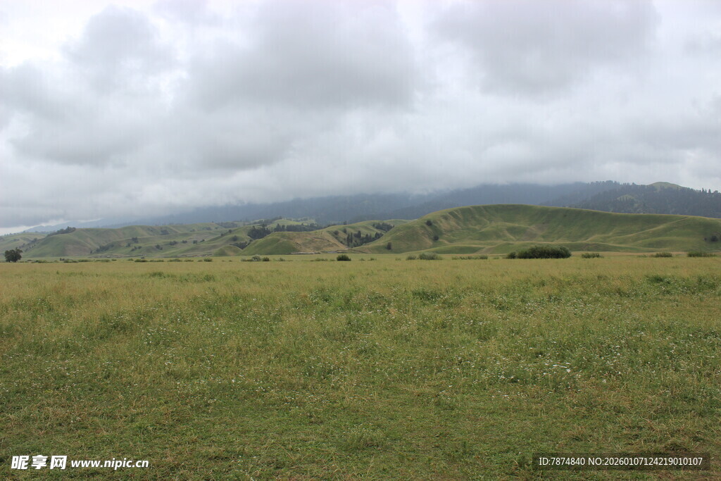 草原风光 阴云下的广袤绿野