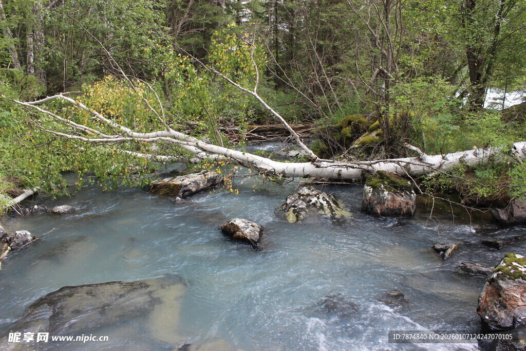 山间溪流 自然清新景致