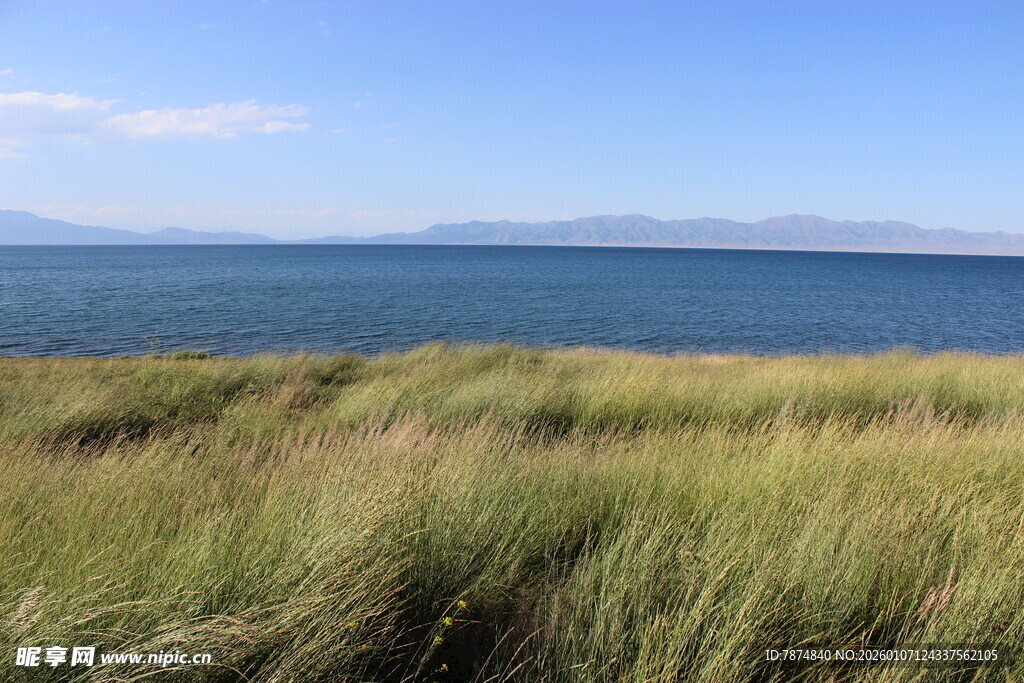 海边草地与辽阔蓝色海洋