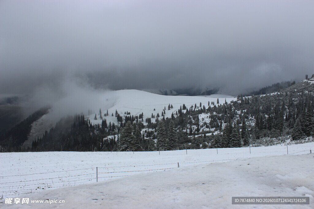 雪覆山林的朦胧冬日景象