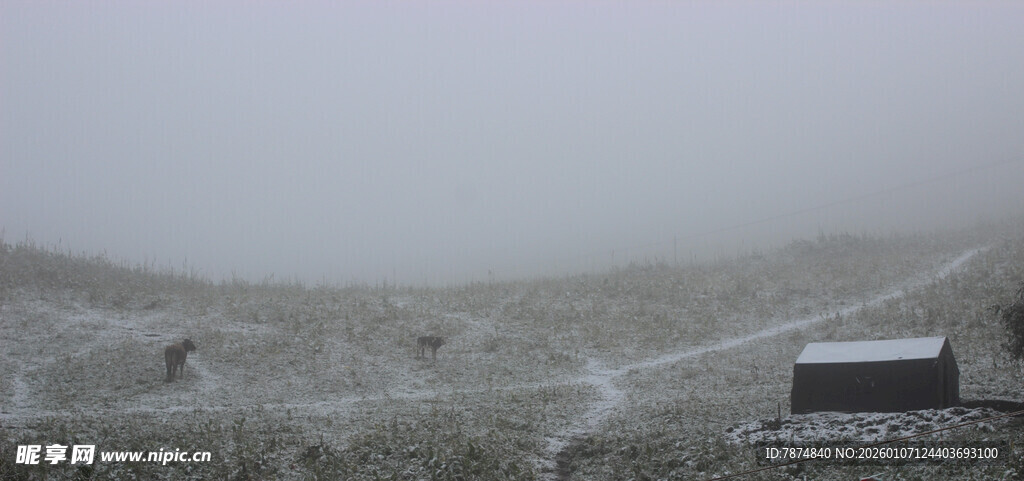 雾中旷野里的小屋