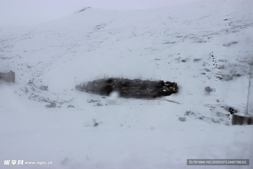 雪地中的神秘黑色物体