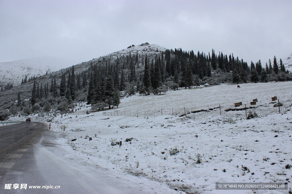 雪覆山路与山坡景观