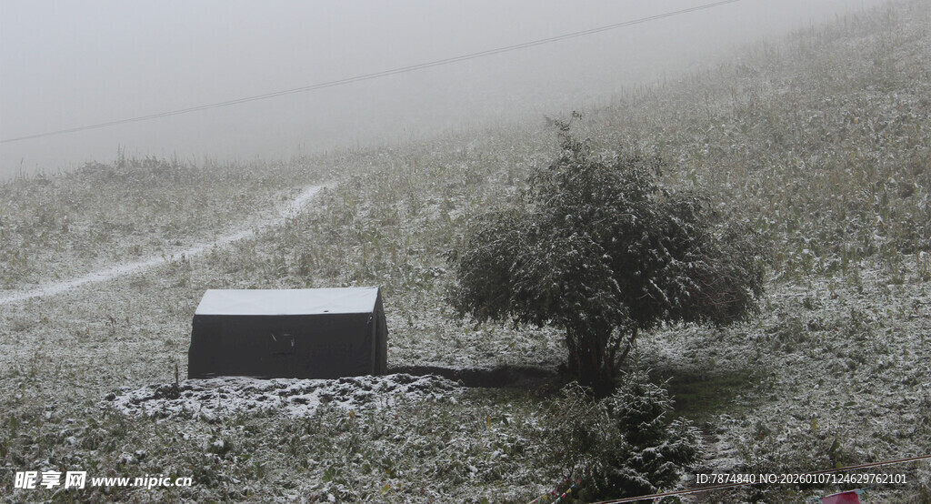 雾中乡村小屋与孤树