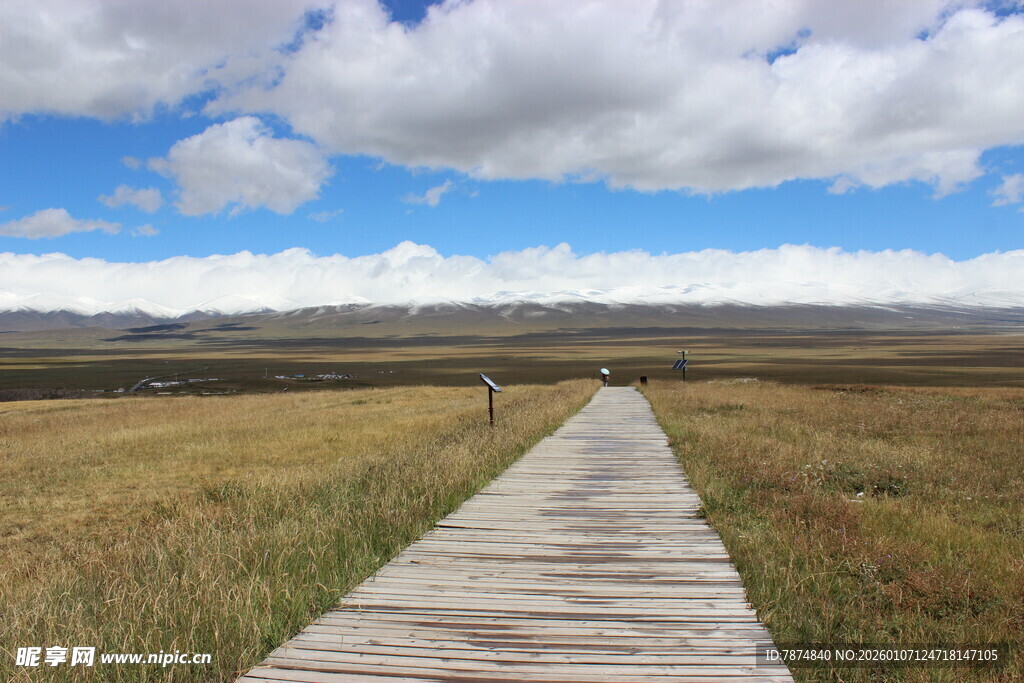 草原木栈道通向远方